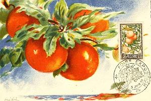 TIMBRES 1 ER JOUR (184)